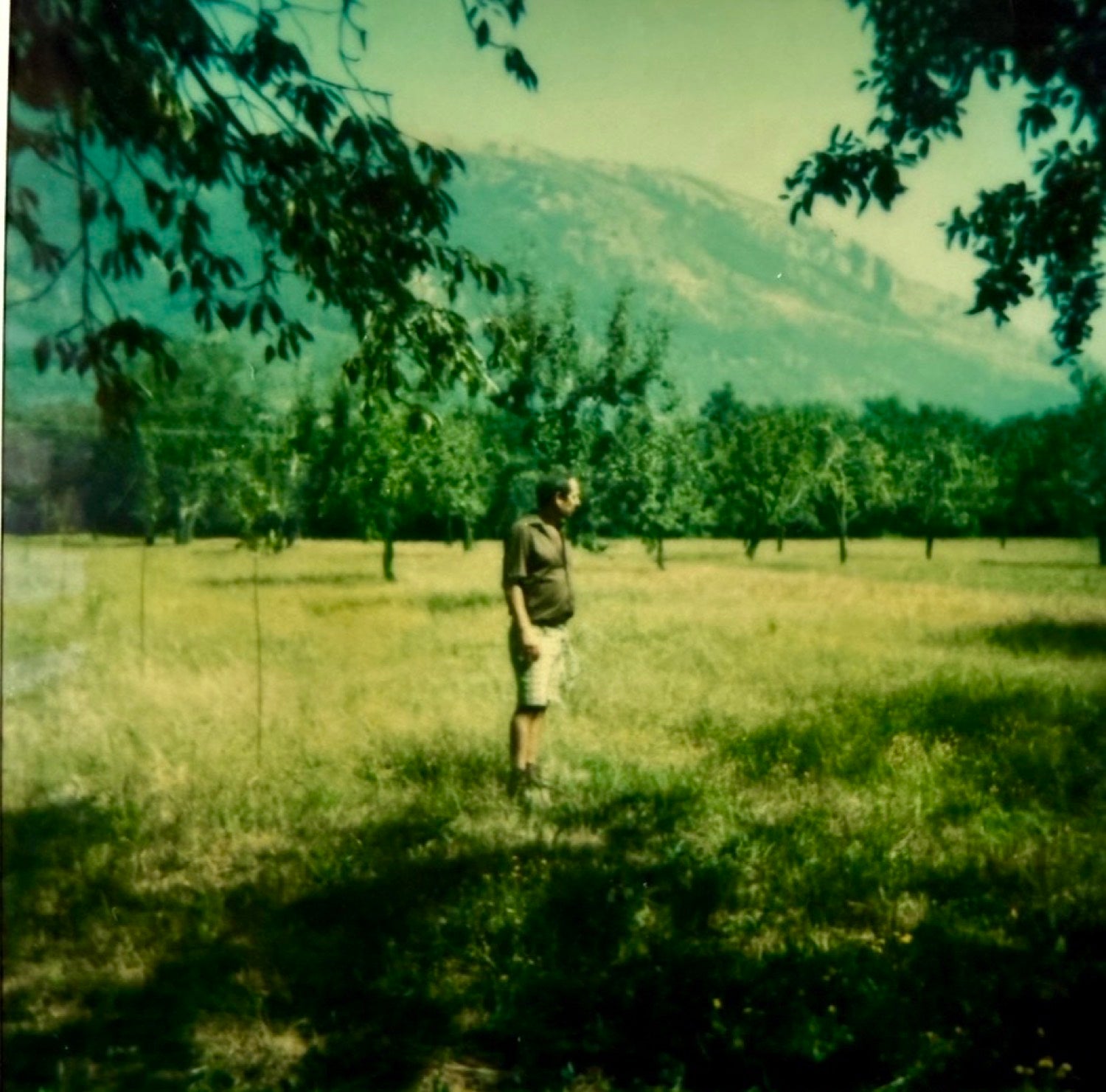 paolo isidoro — izzi doro